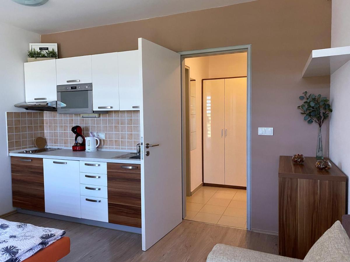 Miky Apartman Klinovec Meadow Loucna pod Klinovcem Exterior photo
