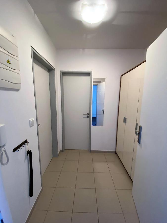 Miky Apartman Klinovec Meadow Loucna pod Klinovcem Exterior photo