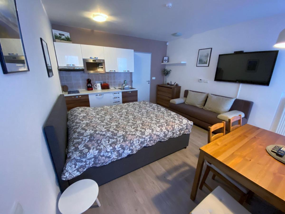 Miky Apartman Klinovec Meadow Loucna pod Klinovcem Exterior photo
